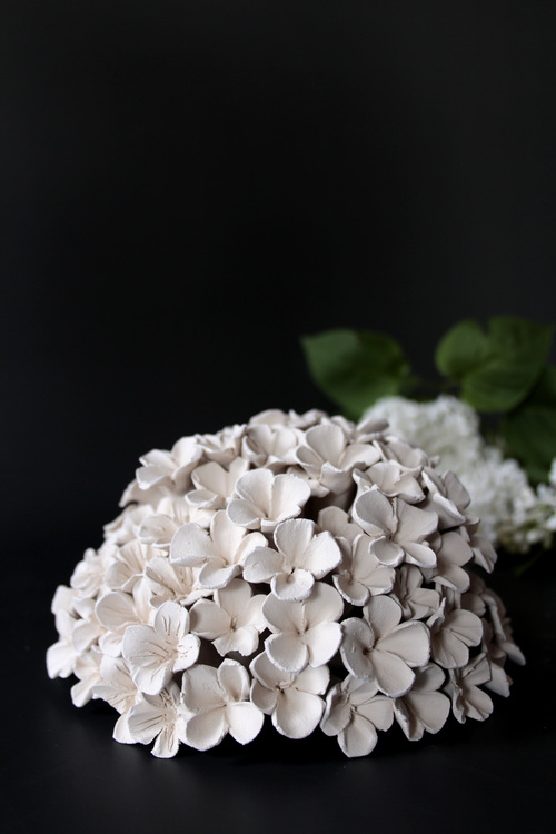 Etude Florale Sculpturales l'Ode au Silence - Cliquez sur l'image pour la fermer
